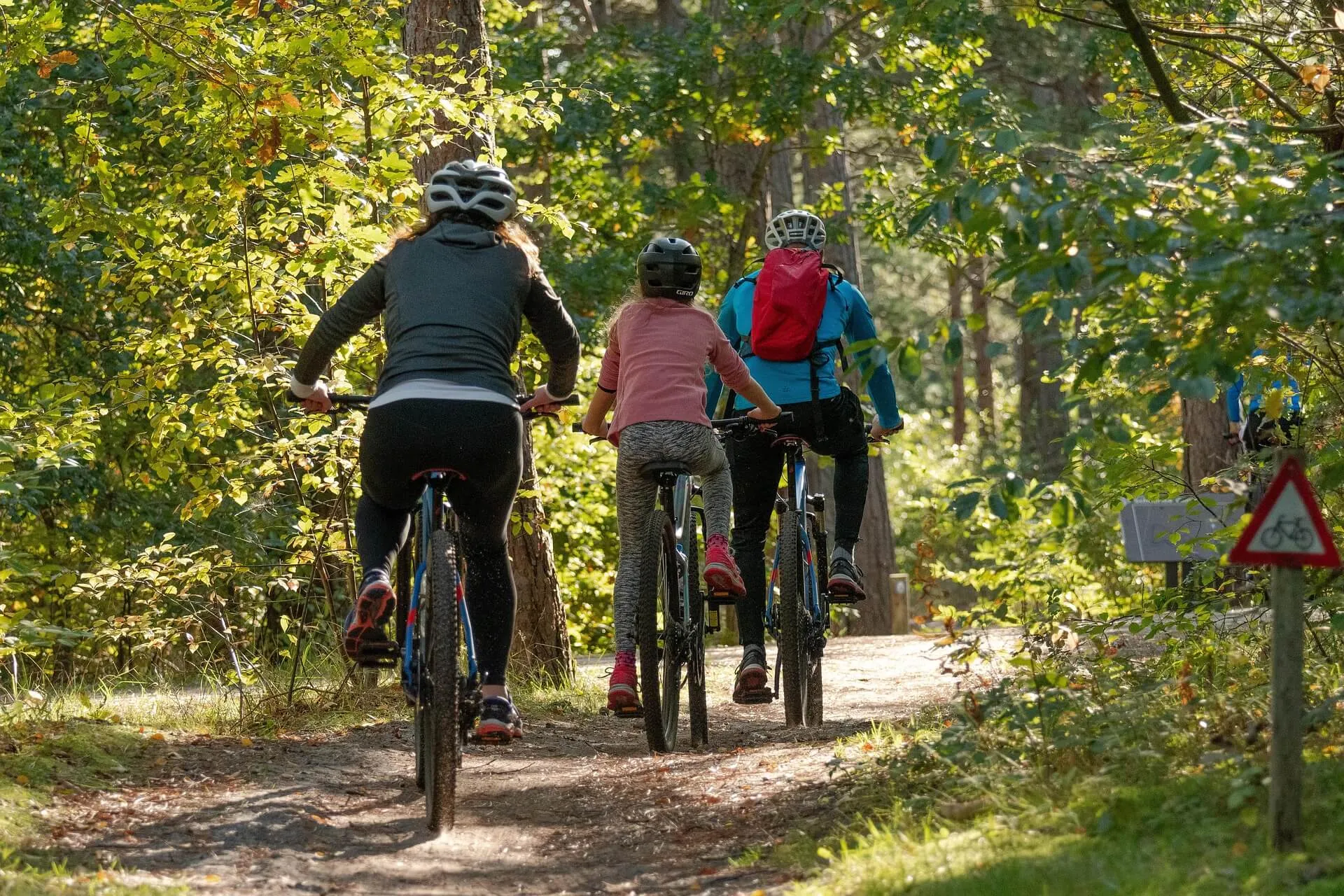 Photographie, 3 cyclistes roulent en forêt. Source https://pixabay.com/fr/photos/v%C3%A9los-cyclistes-cyclisme-des-sports-5661632/